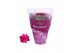 Kalanchoe blossfeldiana rosalina don victorio in paarse hoes 