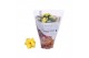 Kalanchoe rosalina geel royale 