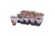 Kalanchoe rosalina don darcio roze royal 
