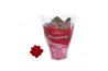 Kalanchoe blossfeldiana rosalina don justino in rode hoes