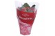 Kalanchoe blossfeldiana rosalina don justino in rode hoes 