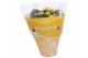 Kalanchoe rosalina don amarillo in gele hoes 