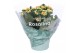 Kalanchoe rosalina don pedro oranje 