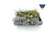 Sedum mix xl 