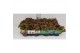 Sedum Coral reef 