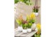 Calanthe garden orchids met potcover 