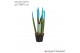 Sansevieria velvet touchz aqua 