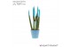 Sansevieria velvet touchz aqua keramiek 