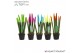 Sansevieria cylindrica velvet touchz® mix Ibiza 
