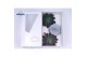 Echeveria snij Mix (wincx) Cutfl (3spc.) 999 