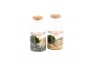 Arrangementen waterplanten 90530: Marimo moss ball