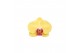 Phalaenopsis floriclone limelight 3 tak - 22+ bloemen groen keramiek 