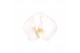 Phalaenopsis white world 3 tak - 18+ bloemen mix keramiek 
