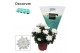 Chrysanne grandezza white decorum 