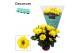 Chrysanne margarita yellow decorum 
