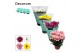 Chrysanne margarita mix decorum 