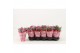 Kalanchoe rosalina don geraldo Catchy Season paars 