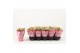 Kalanchoe rosalina alano bicolor Catchy Season Pink-White 