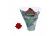 Kalanchoe rosalina don justino rood 