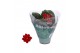 Kalanchoe rosalina don justino rood 
