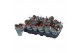 Kalanchoe rosalina don justino rood 