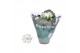 Kalanchoe rosalina don dione wit 