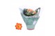 Kalanchoe rosalina don pedro oranje 