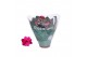Kalanchoe blossfeldiana rosalina don victorio 