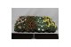 Argyranthemum mixkar Margriet Frutescens Mix Trolley,15 cm diameter,di 