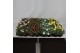 Argyranthemum mixkar Margriet Frutescens Mix Trolley,15 cm diameter,di 