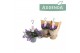 Campanula port. addenda Hangpot in Kraft 