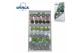 Echeveria snij Mix (wincx) Cutfl (10spc.) 999 