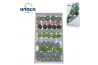 Echeveria snij Mix (wincx) Cutfl (10spc.) 999