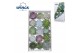 Echeveria snij Mix (wincx) Cutfl (15spc.) 999 