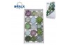 Echeveria snij Mix (wincx) Cutfl (15spc.) 999