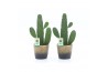 Opuntia Opuntia rubescens Consolea in Lunar keramiek 1 pp