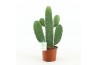 Opuntia rubescens consolea