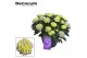 Hydrangea macr. hi river Blauw 20+ 