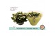 Kalanchoe rosalina menzel double white 