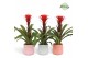 Guzmania hope Belize keramiek 