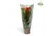Guzmania hope Jungle hoes 