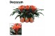 Guzmania tutti frutti Luxe keramiek 