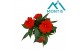 Impatiens colorpower orange red 