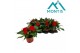 Impatiens kleni05058 Fire 