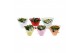 Kalanchoe rosalina mix 5 kleuren 3 pp, diverse kleuren 