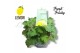 Pelargonium welrieke mix Fresh&Fruity® Lemon Fresh 