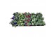 Petunia surfinia mixkar 5 kleuren Alpetunia® mixlaag 