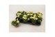 Bidens taka tuka yellow white 