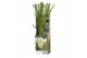 Cortaderia selloana pampas wit 