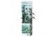 Buddleja davidii white profusion wit 